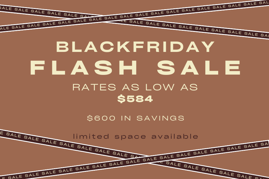 Black Friday Flash Sale